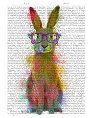 Rainbow Splash Rabbit 1