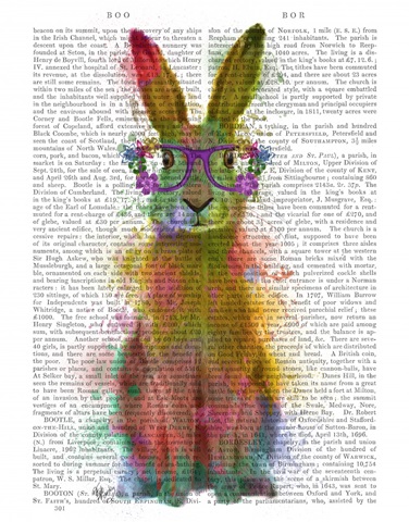 Rainbow Splash Rabbit 1