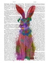 Rainbow Splash Rabbit 2, Full