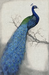 Peacock Blue I