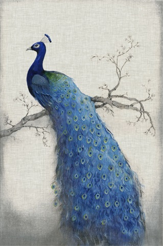 Peacock Blue II