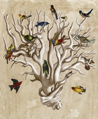 The Ornithologist's Dream I