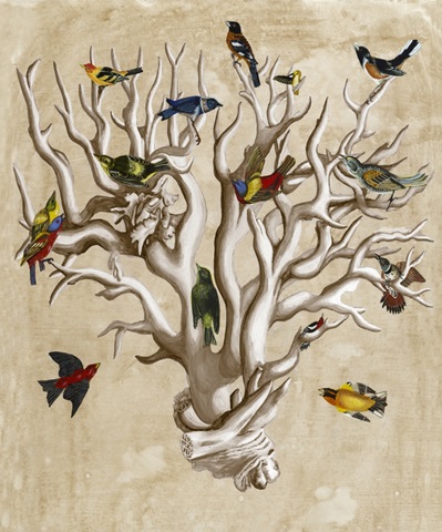 The Ornithologist's Dream I