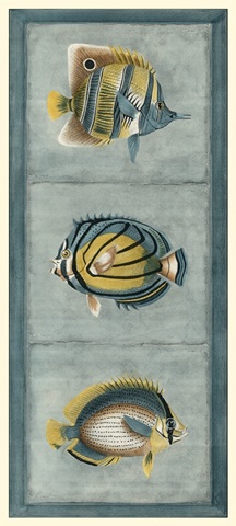 Tropical Fish Trio I