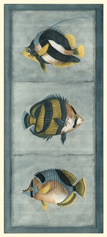 Tropical Fish Trio II