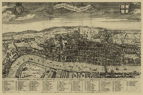 Bird's Eye View of London