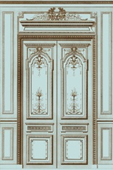 French Salon Doors I