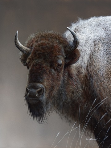 American Icon- Buffalo