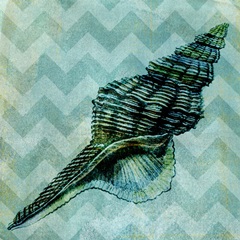 Chevron Shell III