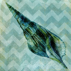 Chevron Shell V