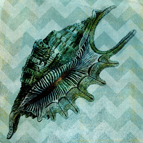 Chevron Shell VII