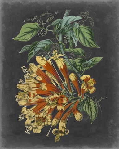 Dramatic Tropical Beauty II