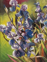 Iris Garden I