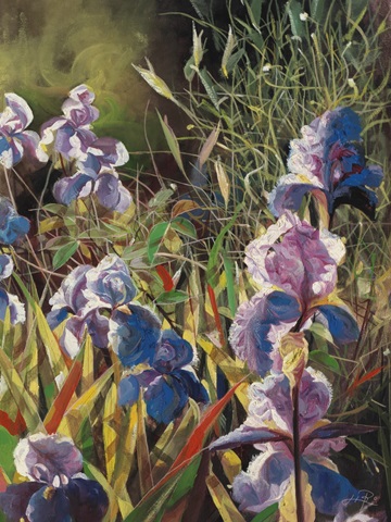Iris Garden II