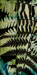Midnight Ferns II