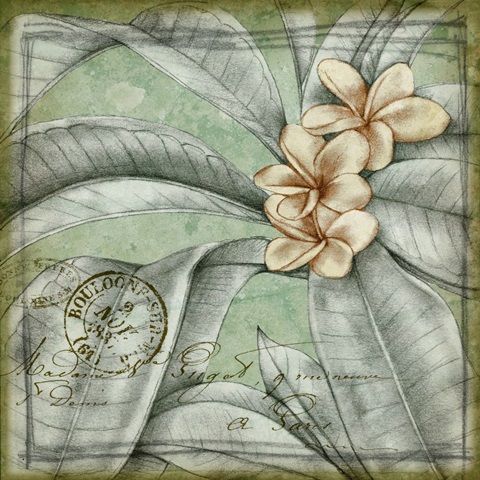 Postmark Tropicals I