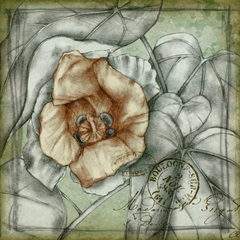 Postmark Tropicals IV