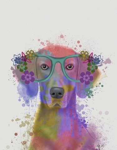 Rainbow Splash Weimaraner, Portrait