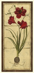 Amaryllis Panel I