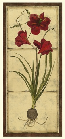 Amaryllis Panel I