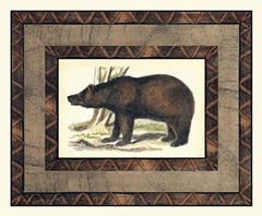 Rustic Bear