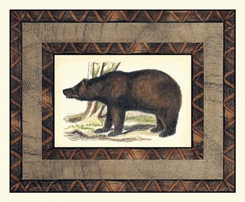 Rustic Bear