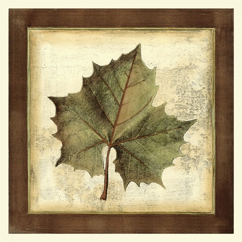 Rustic Leaves I - No Crackle
