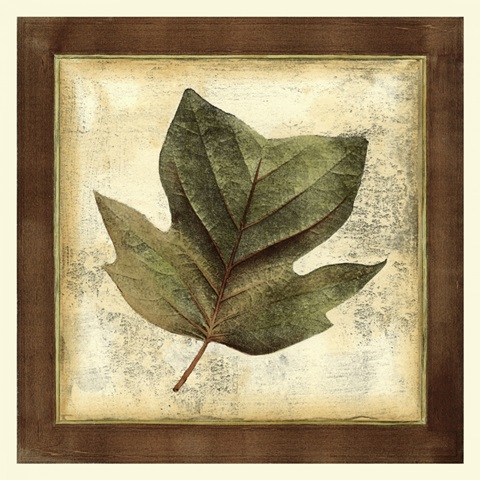 Rustic Leaves III - No Crackle