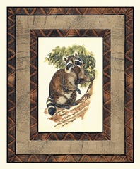 Rustic Raccoon