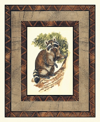 Rustic Raccoon