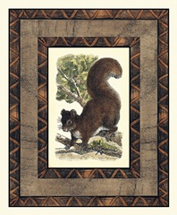 Rustic Squirrel