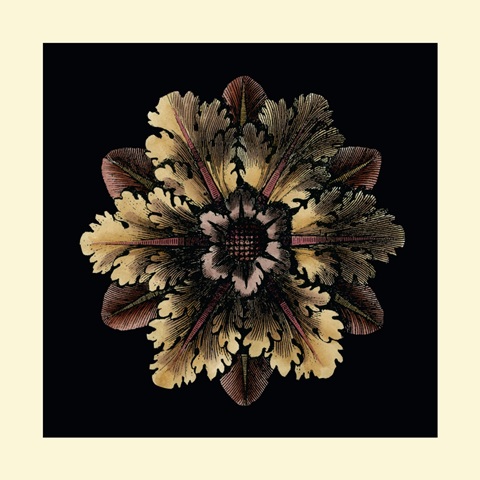 Small Classic Rosette I