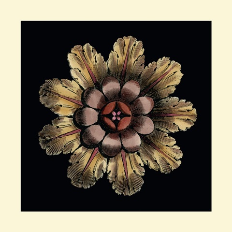 Small Classic Rosette II