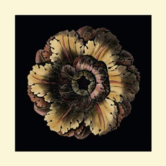 Small Classic Rosette III