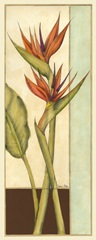 Tropicana Botanical II