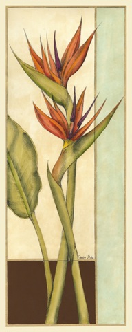 Tropicana Botanical II