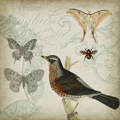 Cartouche and Wings II