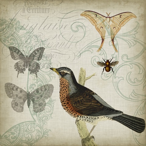 Cartouche and Wings II