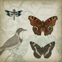 Cartouche and Wings IV