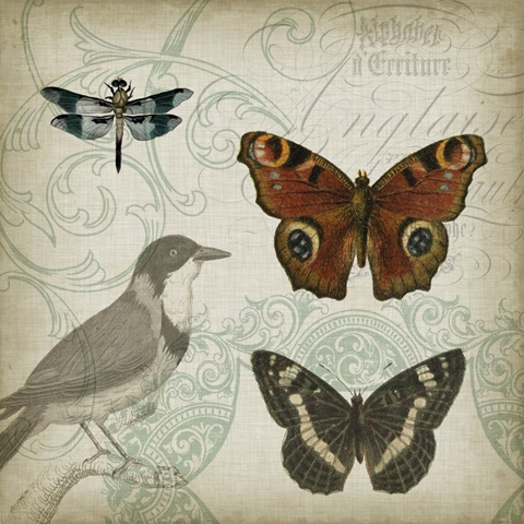 Cartouche and Wings IV