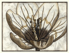 Fresco Flowerhead IV