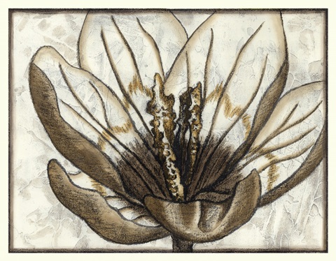 Fresco Flowerhead IV