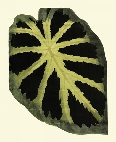 Grandiose Leaves III