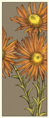 Graphic Flower Panel I