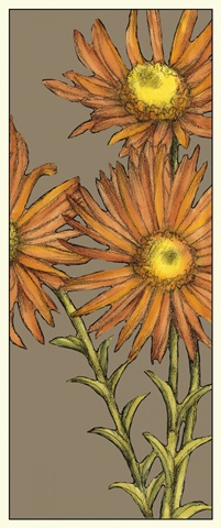 Graphic Flower Panel I