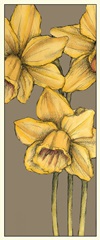 Graphic Flower Panel IV