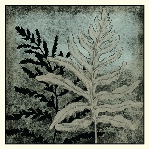 Illuminated Ferns II