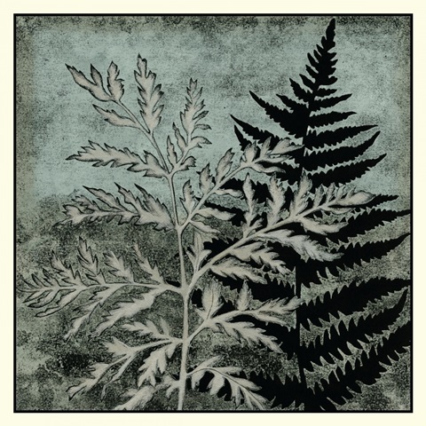 Illuminated Ferns IV