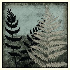 Illuminated Ferns V