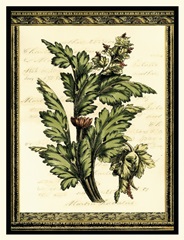 Leaves of Elegance I